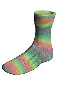 Lang Yarns Super Soxx Color 6 Ply