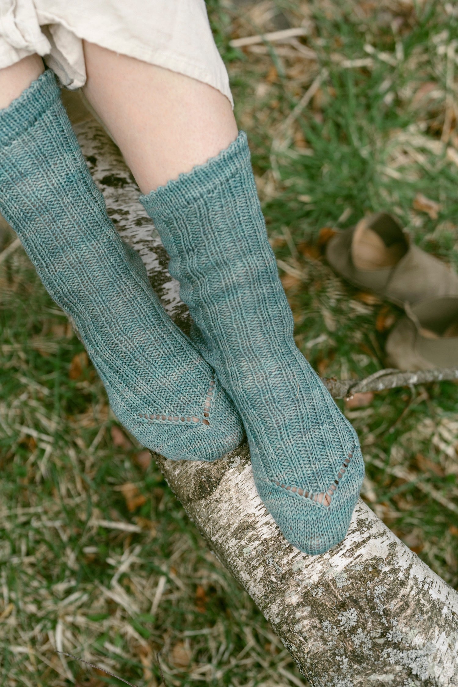Field Notes Olga Putano