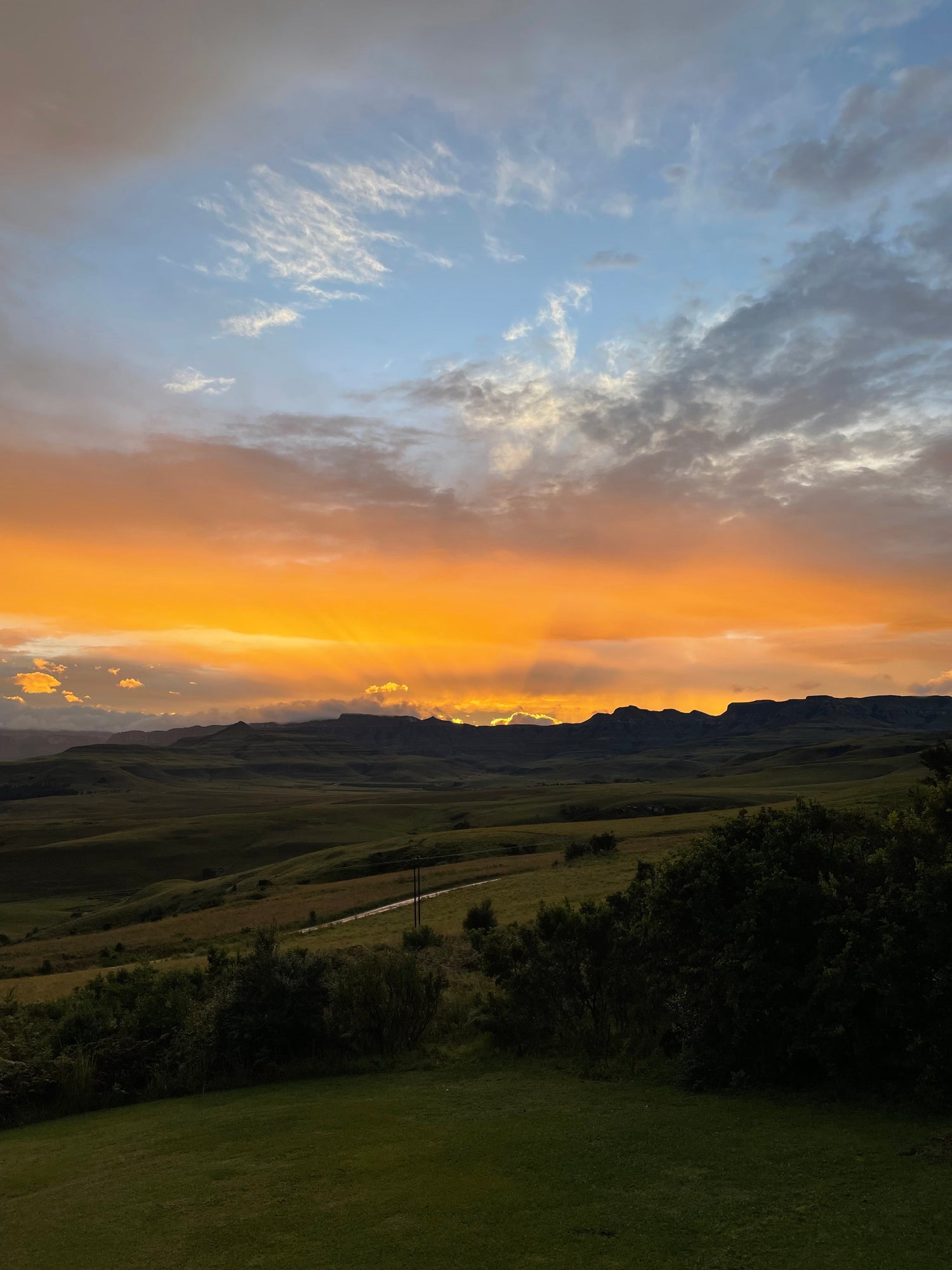 Newsletter April 2026 - wir waren in Südafrika, Jubliläumsnachlese und frischer Frühling