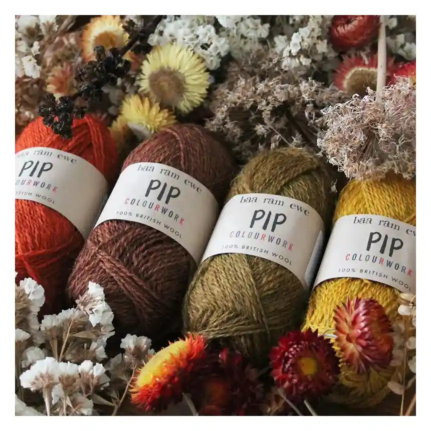 Baa Ram Ewe Pip Colorwork