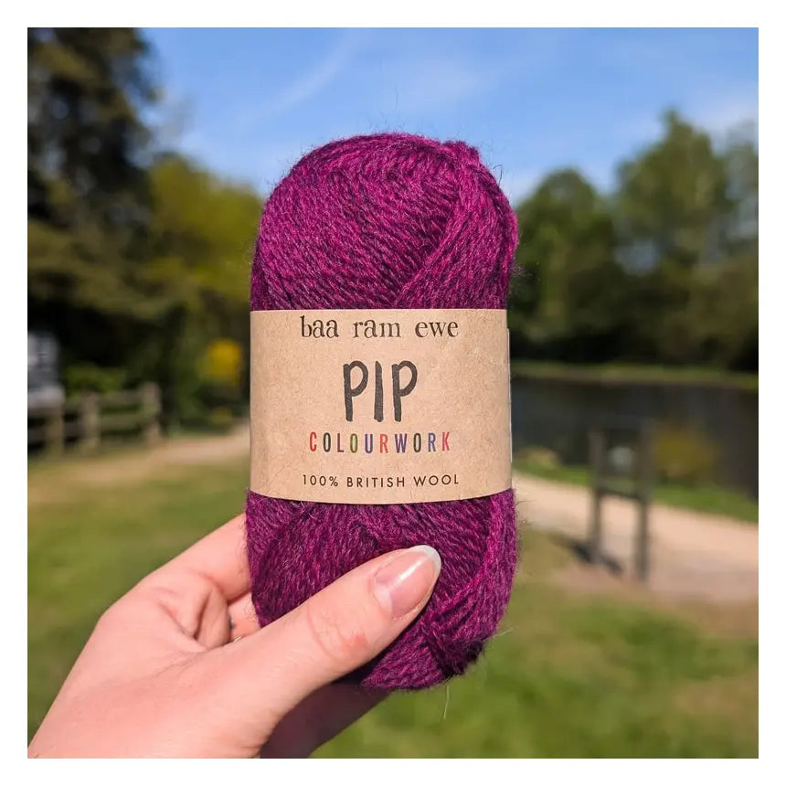 Baa Ram Ewe Pip Colorwork