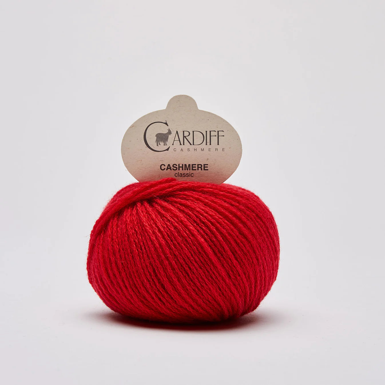 Knäuel Cardiff Cashmere clasic in gerbera rot