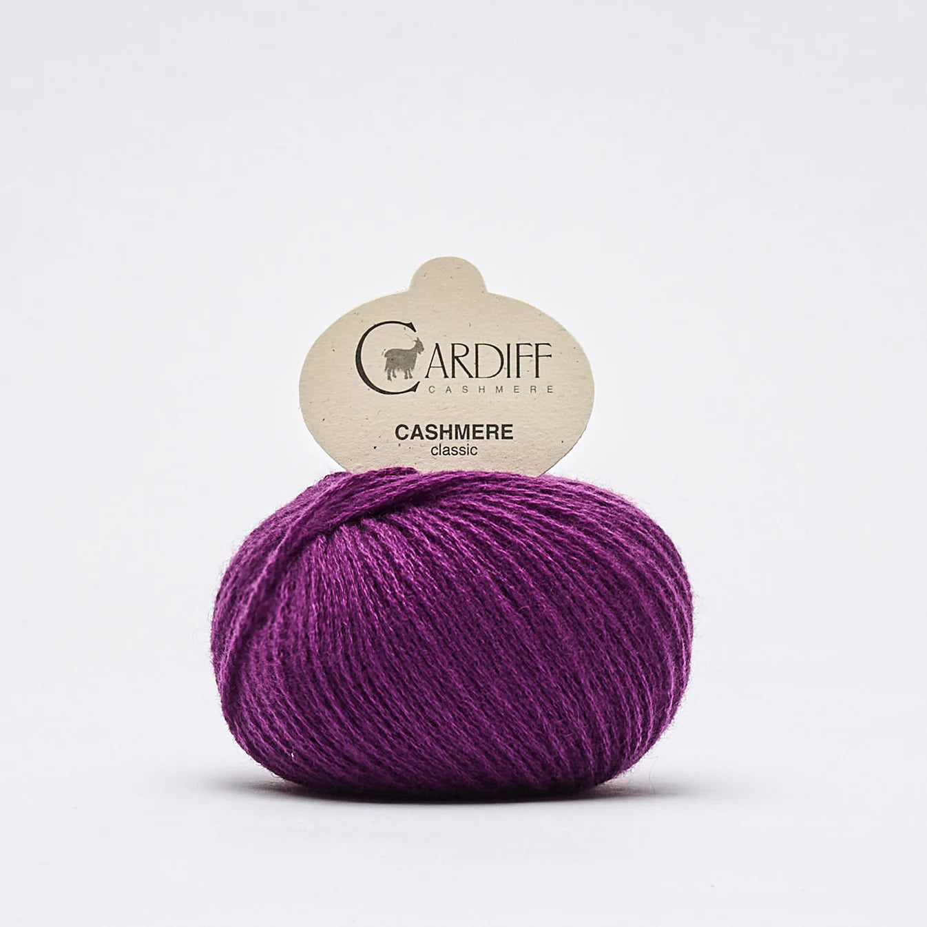 Knäuel Cardiff Cashmere classic Frabe jasper dunkles, sattes lila