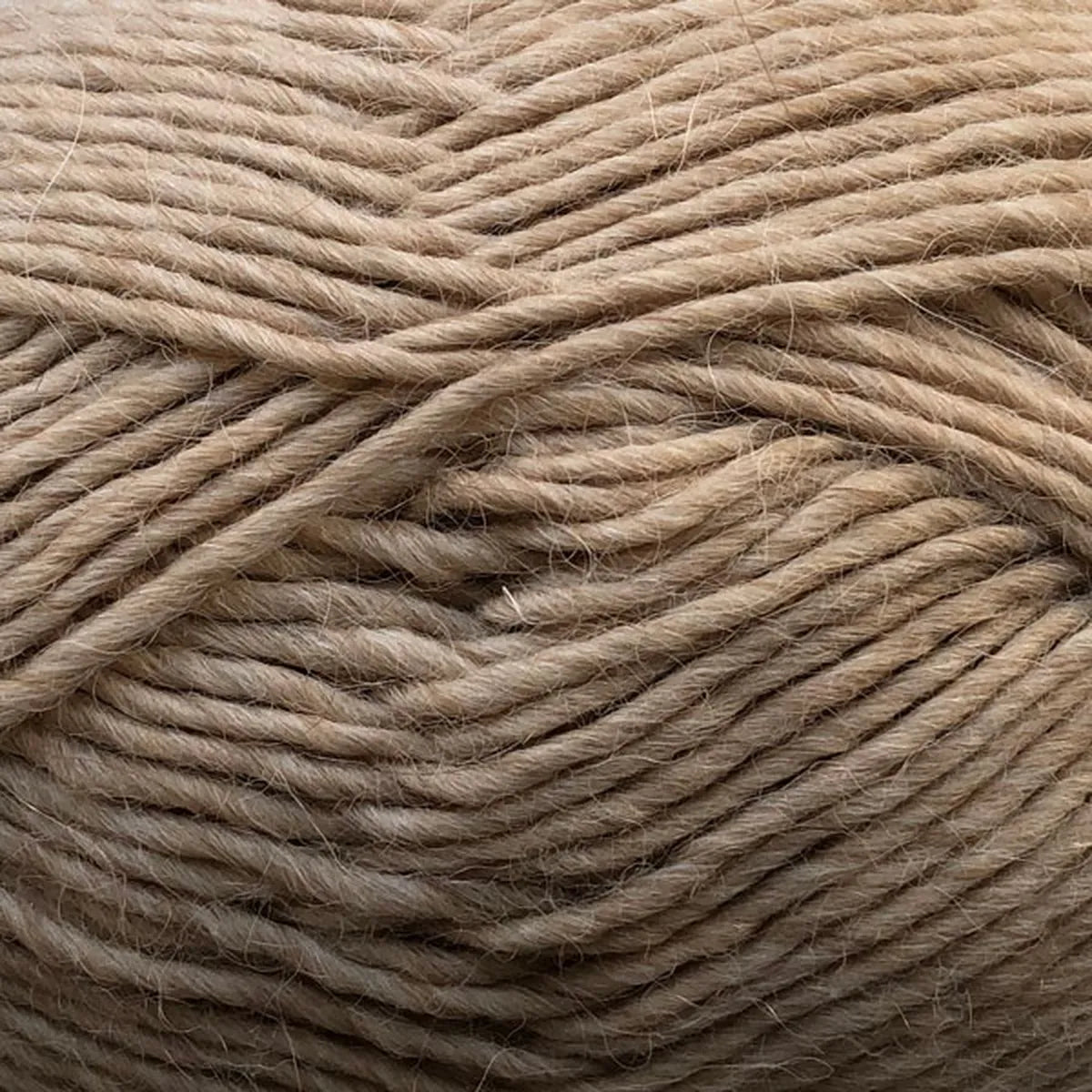 CaMaRose - Lamauld - 50g