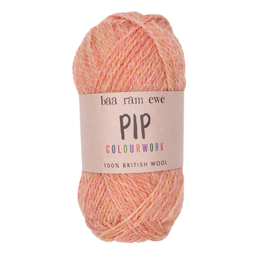 Baa Ram Ewe Pip Colorwork